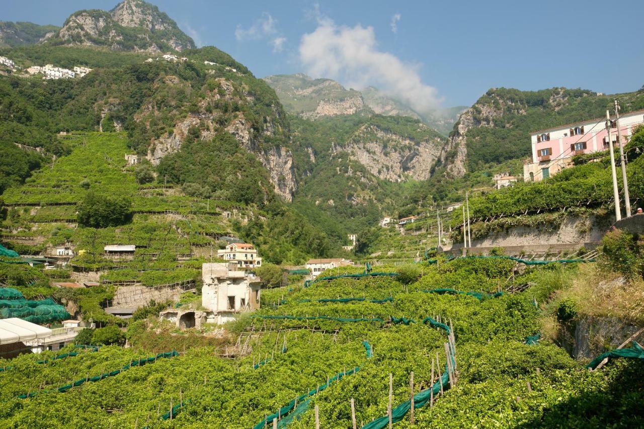 Villa Pricitella Амалфи Екстериор снимка